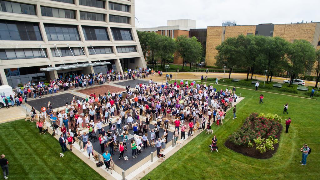 Aerial Photography for Purina pets at work world record setting! 